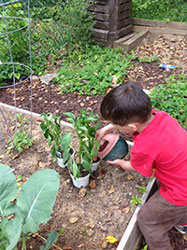 GardeningPreschool_sm